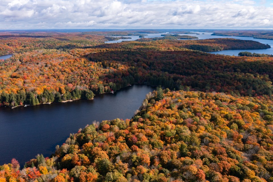 3-melissa-bradbury-peryle-keye-muskoka-realtor_3